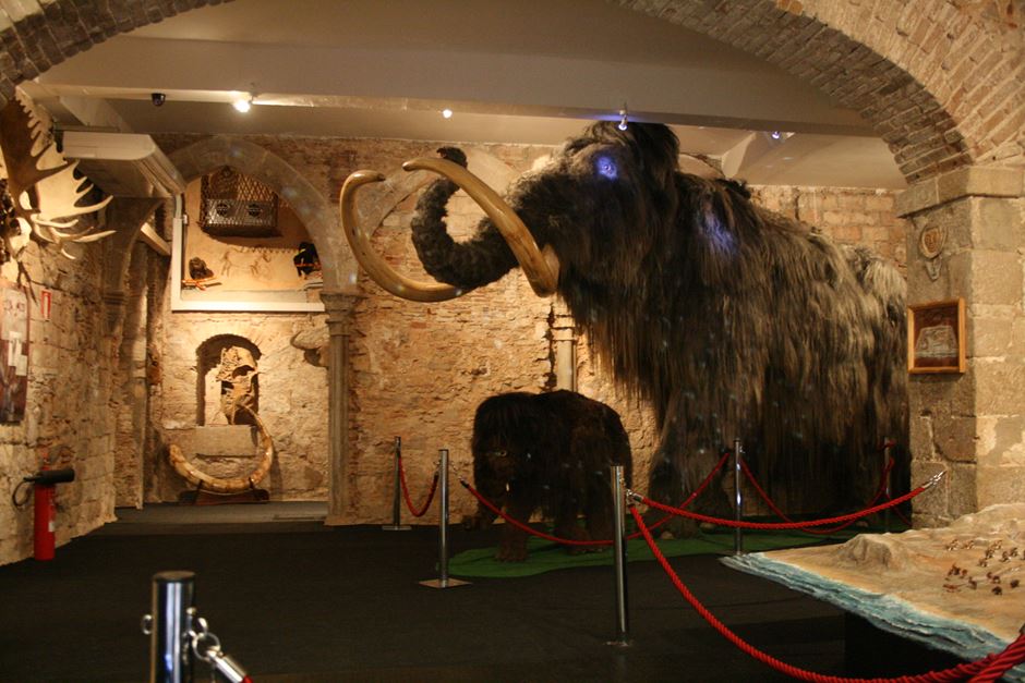 Museu del Mamut Barcelona Museu del Mamut Barcelona