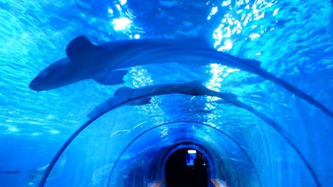 Barcelona Unterwasser Tunnel Barcelona Unterwasser Tunnel