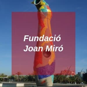 Fundacio Joan Miro