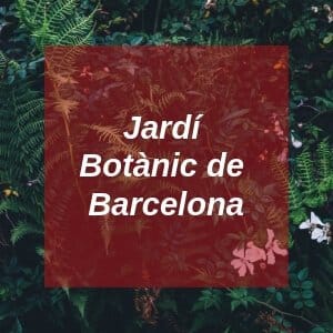 Jardí Botànic de Barcelona