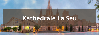 Kathedrale-La-Seu-Hub