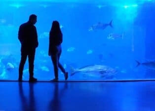 Aquarium Barcelona - Klein