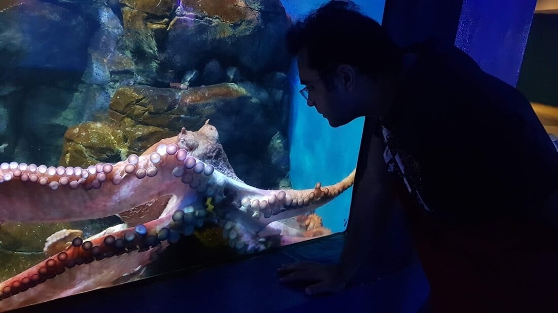 Barcelona-Aquarium (1)
