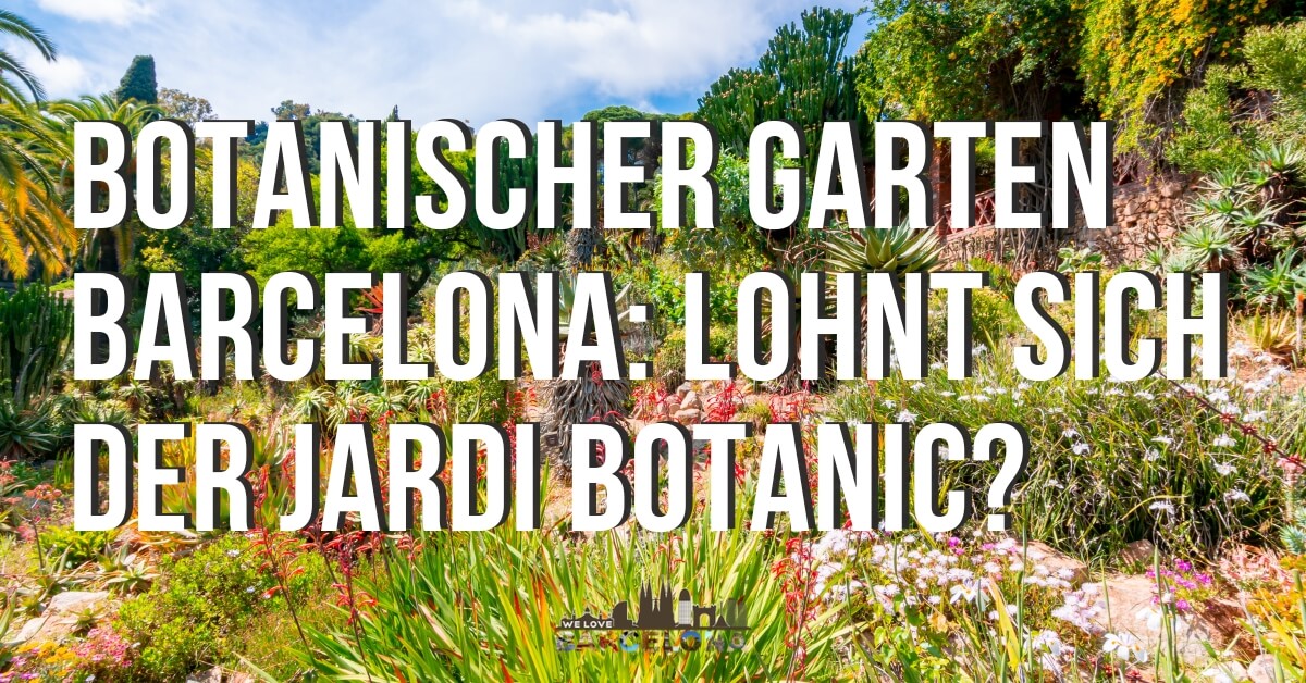 Botanischer Garten Barcelona Lohnt sich der Jardi Botanic?