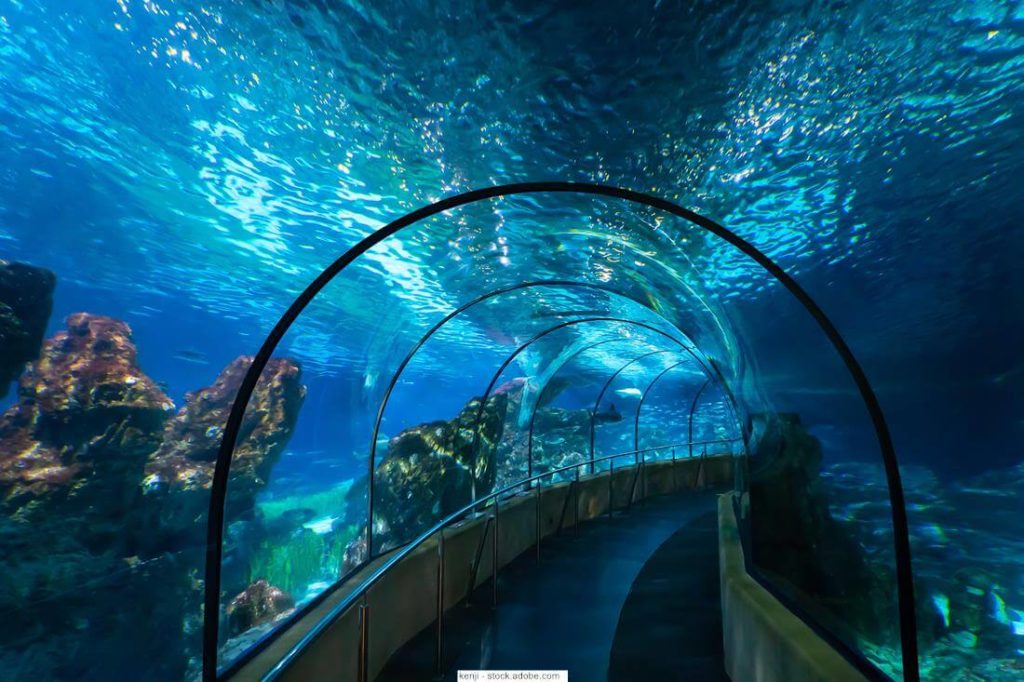 Aquarium-Barcelona-Tunnel