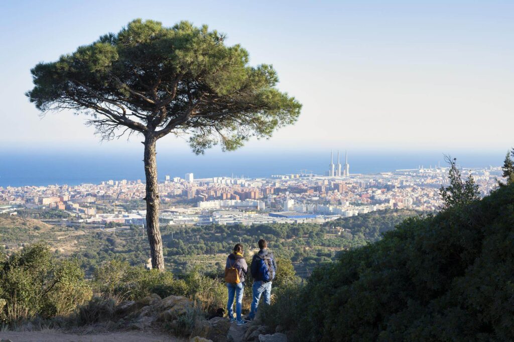 Parc Natural de Collserola